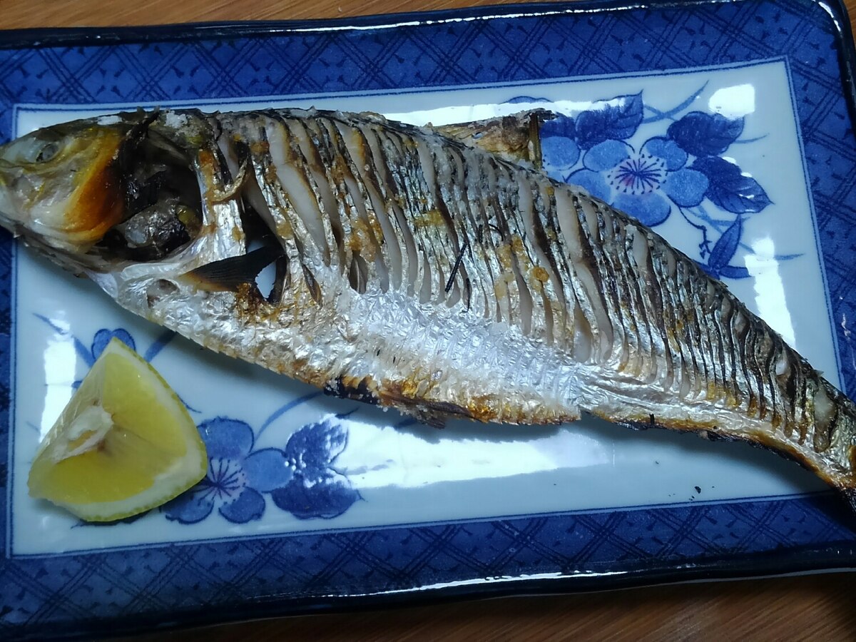 コノシロの塩焼き レシピ 作り方 By 浜の釣り人 楽天レシピ